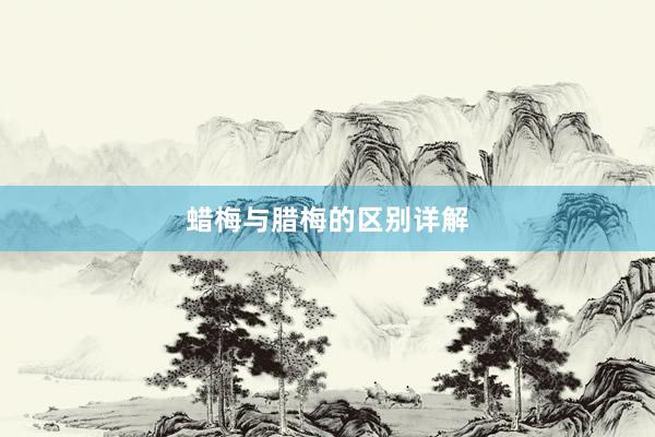 蜡梅与腊梅的区别详解